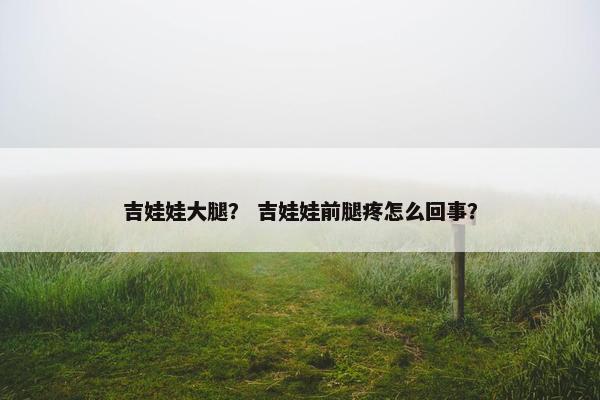 吉娃娃大腿？ 吉娃娃前腿疼怎么回事？