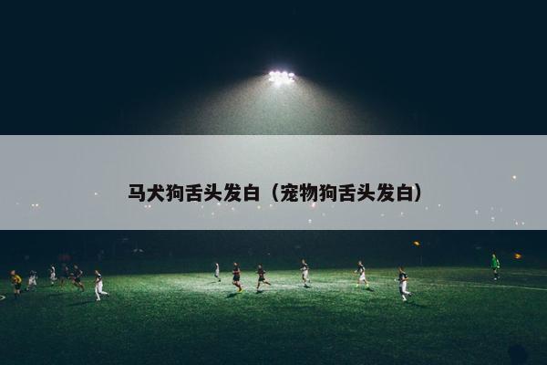 马犬狗舌头发白（宠物狗舌头发白）