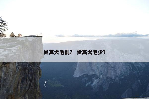 贵宾犬毛乱？ 贵宾犬毛少？