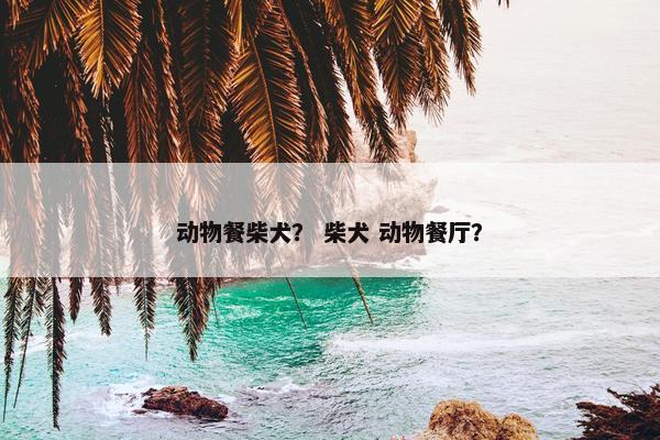 动物餐柴犬？ 柴犬 动物餐厅？