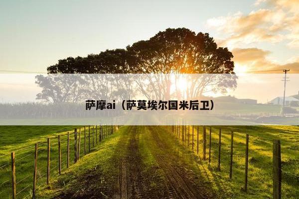 萨摩ai（萨莫埃尔国米后卫）