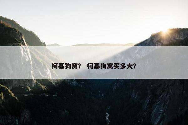 柯基狗窝？ 柯基狗窝买多大？