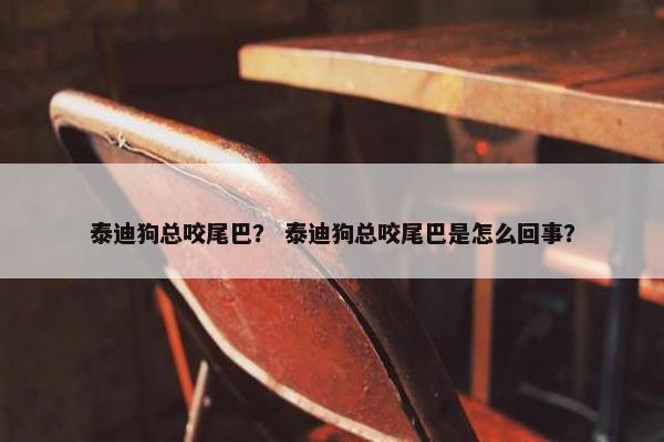 泰迪狗总咬尾巴？ 泰迪狗总咬尾巴是怎么回事？