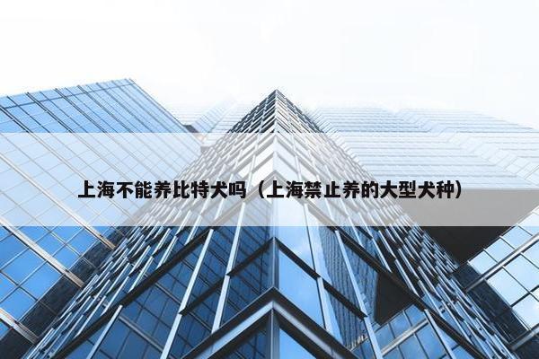 上海不能养比特犬吗（上海禁止养的大型犬种）