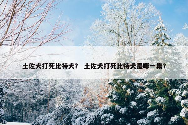 土佐犬打死比特犬？ 土佐犬打死比特犬是哪一集？
