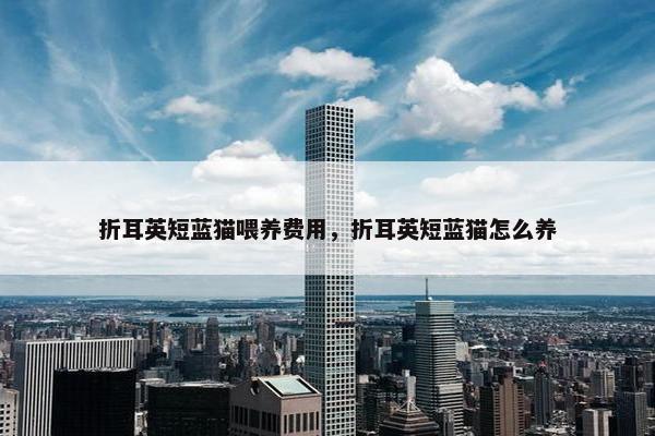 折耳英短蓝猫喂养费用，折耳英短蓝猫怎么养