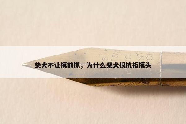 柴犬不让摸前抓，为什么柴犬很抗拒摸头