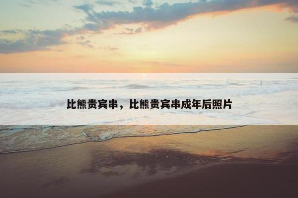 比熊贵宾串，比熊贵宾串成年后照片
