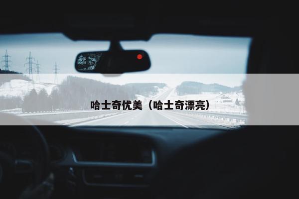 哈士奇优美（哈士奇漂亮）