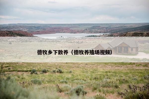 德牧乡下散养（德牧养殖场视频）