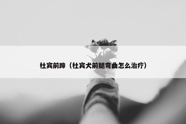 杜宾前蹄（杜宾犬前腿弯曲怎么治疗）