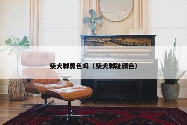柴犬脚黑色吗（柴犬脚趾颜色）