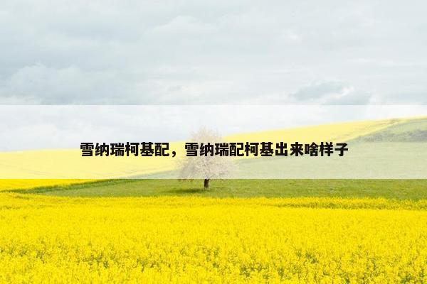 雪纳瑞柯基配，雪纳瑞配柯基出来啥样子