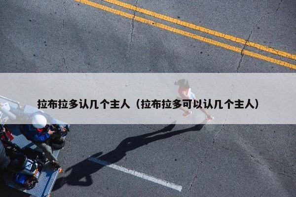 拉布拉多认几个主人（拉布拉多可以认几个主人）