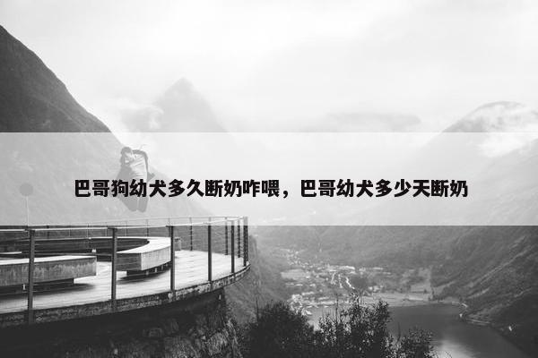 巴哥狗幼犬多久断奶咋喂，巴哥幼犬多少天断奶