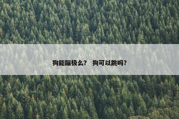 狗能蹦极么？ 狗可以跳吗？
