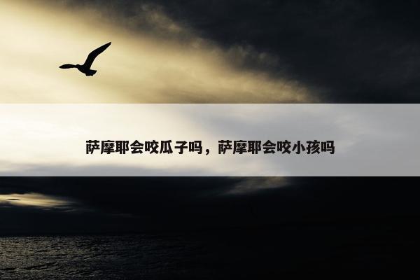 萨摩耶会咬瓜子吗，萨摩耶会咬小孩吗