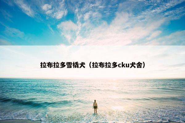拉布拉多雪橇犬（拉布拉多cku犬舍）