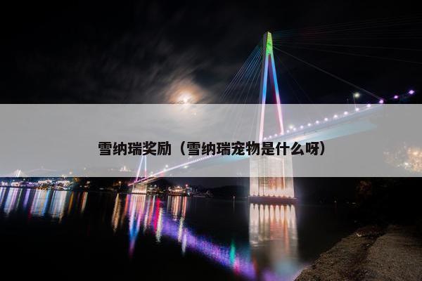 雪纳瑞奖励（雪纳瑞宠物是什么呀）