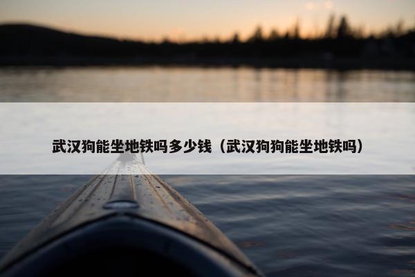 武汉狗能坐地铁吗多少钱（武汉狗狗能坐地铁吗）
