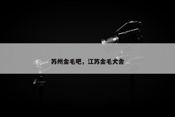 苏州金毛吧，江苏金毛犬舍