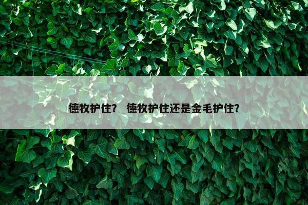 德牧护住？ 德牧护住还是金毛护住？