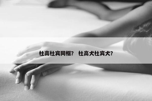 杜高杜宾同框？ 杜高犬杜宾犬？