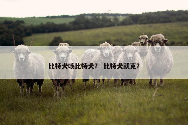 比特犬咳比特犬？ 比特犬就克？