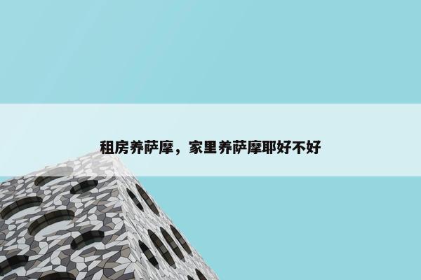 租房养萨摩，家里养萨摩耶好不好