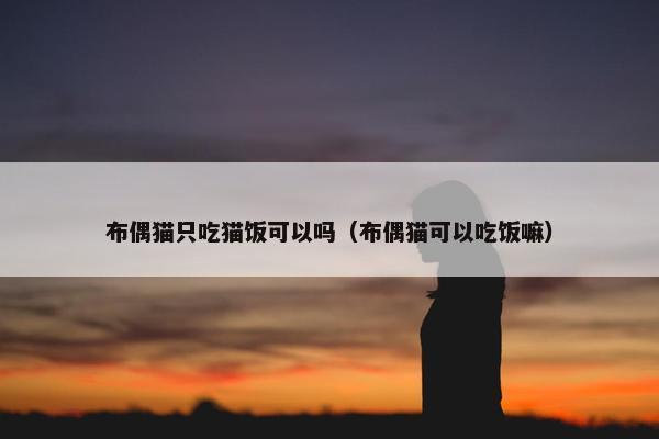 布偶猫只吃猫饭可以吗（布偶猫可以吃饭嘛）