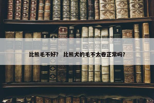 比熊毛不好？ 比熊犬的毛不太卷正常吗？