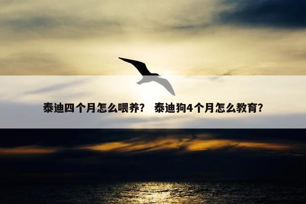 泰迪四个月怎么喂养？ 泰迪狗4个月怎么教育？