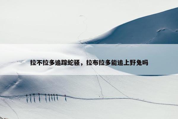 拉不拉多追踪蛇骚，拉布拉多能追上野兔吗