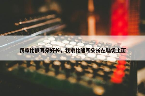 我家比熊耳朵好长，我家比熊耳朵长在脑袋上面