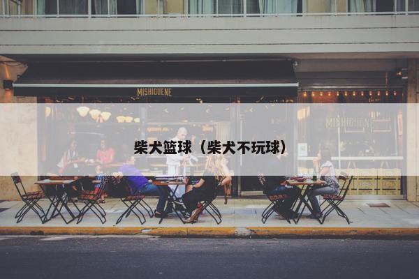 柴犬篮球（柴犬不玩球）