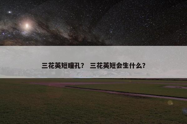 三花英短瞳孔？ 三花英短会生什么？
