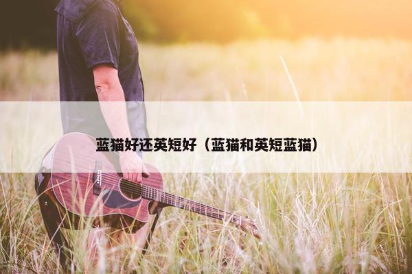 蓝猫好还英短好（蓝猫和英短蓝猫）
