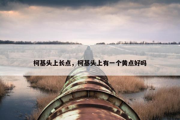 柯基头上长点，柯基头上有一个黄点好吗