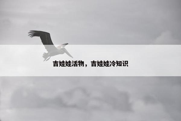 吉娃娃活物，吉娃娃冷知识