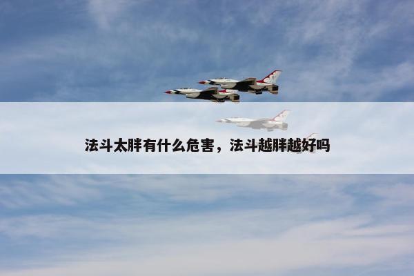 法斗太胖有什么危害，法斗越胖越好吗