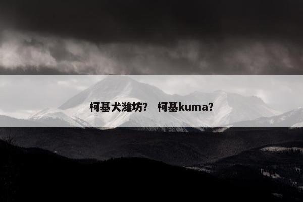 柯基犬潍坊？ 柯基kuma？