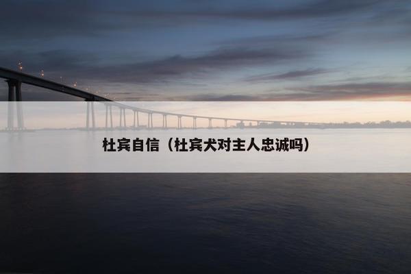 杜宾自信（杜宾犬对主人忠诚吗）