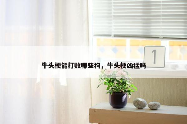 牛头梗能打败哪些狗，牛头梗凶猛吗