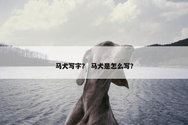 马犬写字？ 马犬是怎么写？