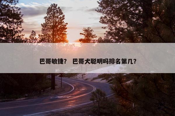 巴哥敏捷？ 巴哥犬聪明吗排名第几？