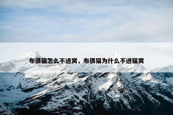 布偶猫怎么不进窝，布偶猫为什么不进猫窝