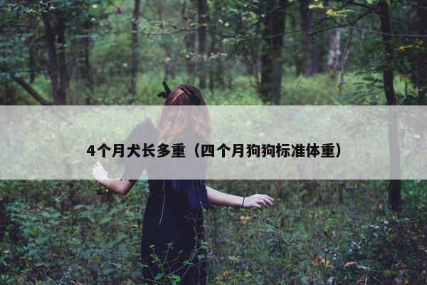 4个月犬长多重（四个月狗狗标准体重）