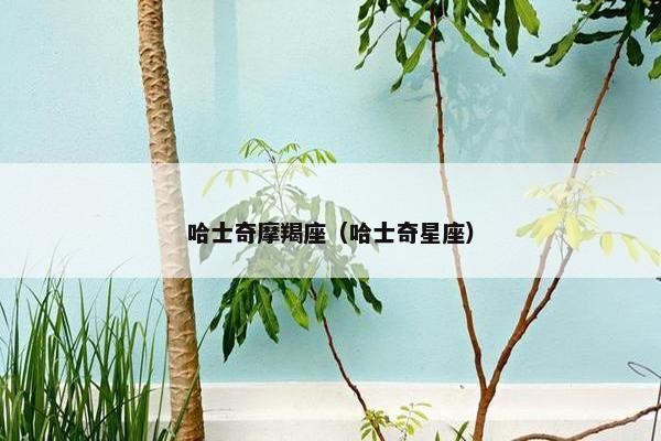 哈士奇摩羯座（哈士奇星座）