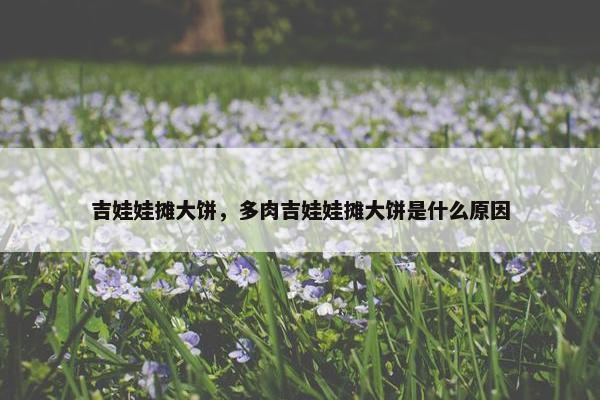 吉娃娃摊大饼，多肉吉娃娃摊大饼是什么原因