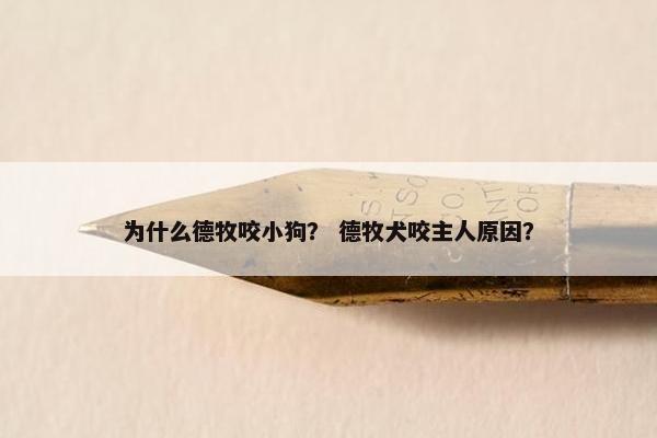 为什么德牧咬小狗？ 德牧犬咬主人原因？
